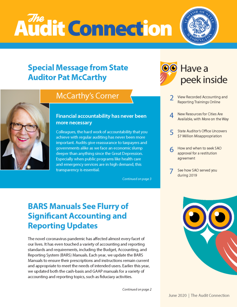 Cover of Audit Connection newsletter