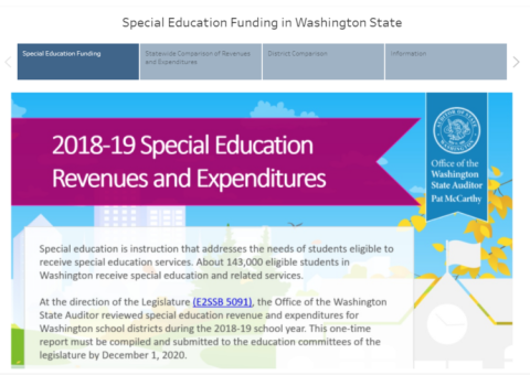 Data visualization of 2018-19 special education revenues and expenditures