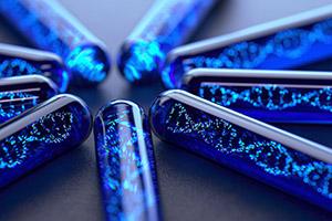 A photograph of blue test tubes with DNA in them.