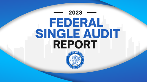 Decorative graphic with SAO's seal and text that says "2023 Federal Single Audit Report."