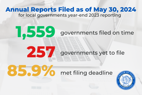 Annual filing stats for local government filing 