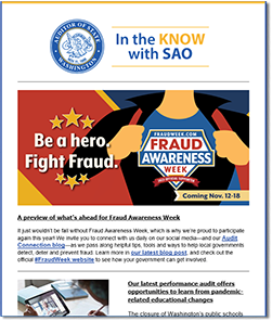 screenshot of In The Know with SAO e-newsletter