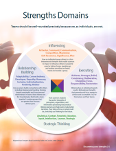 Cover of Stregths Domains resource